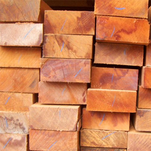 LINHA 6X14CM CACHACEIRO 2,50M  